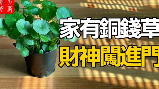 套花呗钱靠谱平台在哪里找