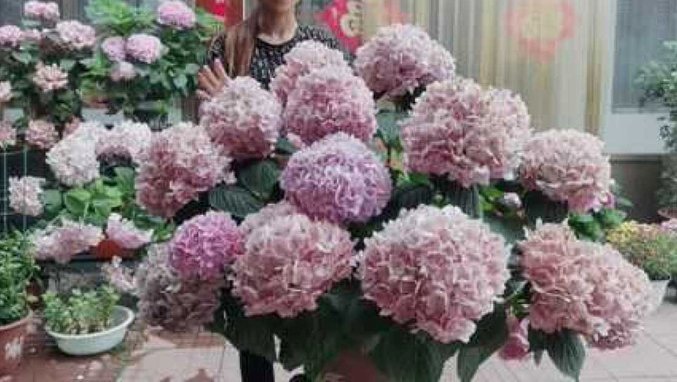 拿去花提现攻略全解析