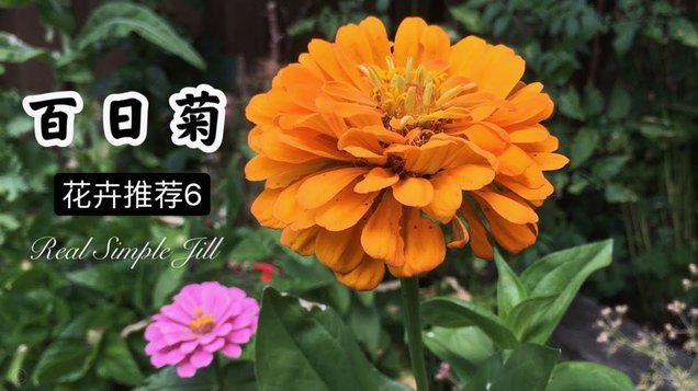 花呗转余额宝：真相揭秘