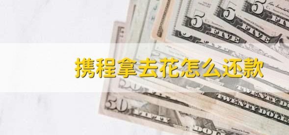携程花薅酒店攻略