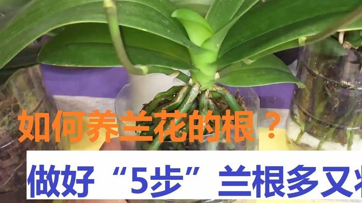 携程“拿去花”：玩转旅行的轻松支付