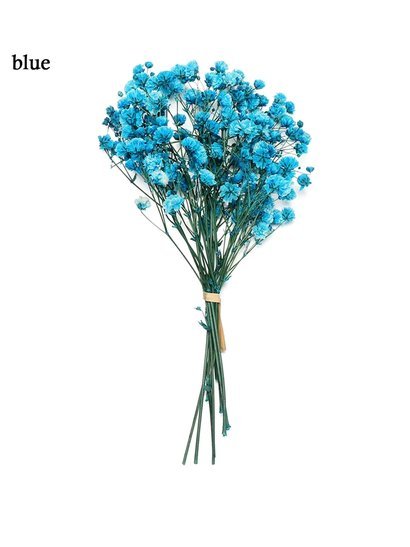 2021花呗套