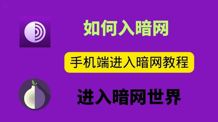 怎么把付费额度刷出来