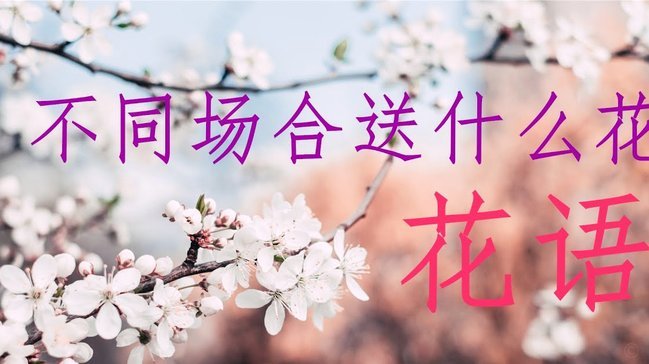 花呗提现技巧：快速到账不被限流？