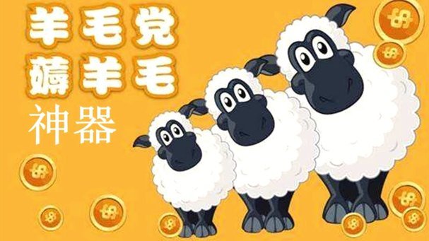 羊小咩账单怎么找？避开这些坑