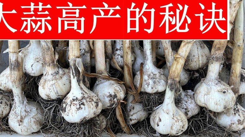 京东白条提现攻略：轻松搞定资金提取技巧
