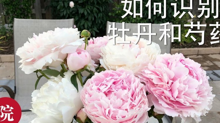 花呗套贴吧，这些平台可信吗？