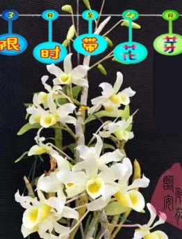 携程拿去花提现技巧