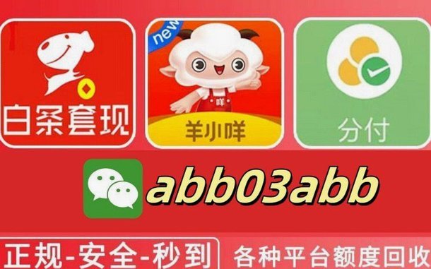 秒级额度：风控科技的创新探索