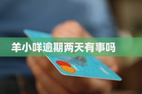 羊小咩哪里有额度啊