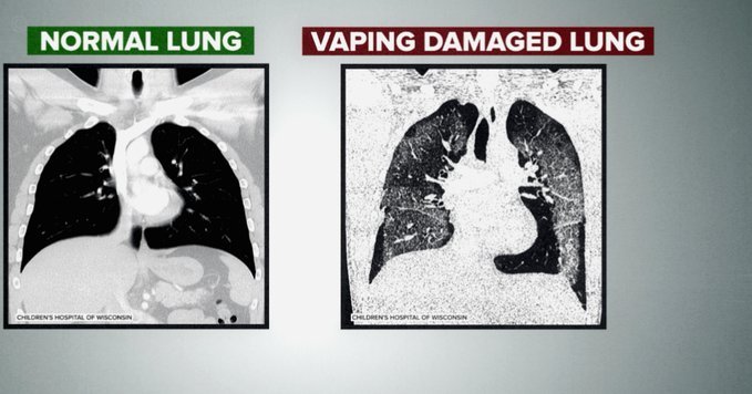 鹿优选：个性化推荐如何重塑消费体验