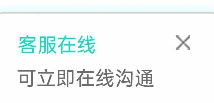 白条平台客服：构建信任与高效的服务体系
