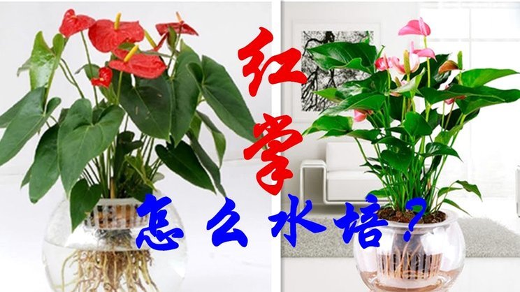 花呗套两万怎么套