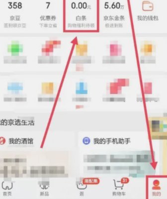 白条支持哪几个第三方付款