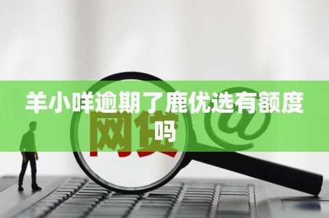 鹿优选有额度怎么套出来