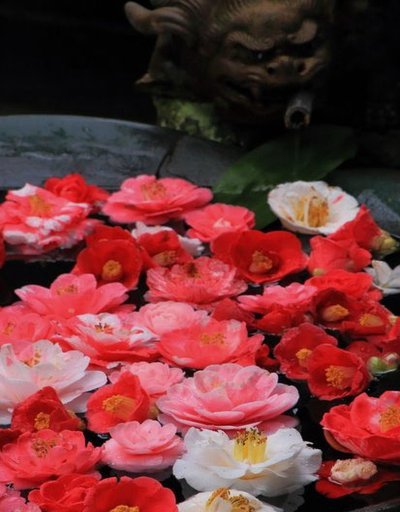 火呗套花呗