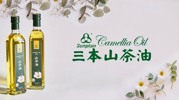 白条加油额度：精准提升技巧
