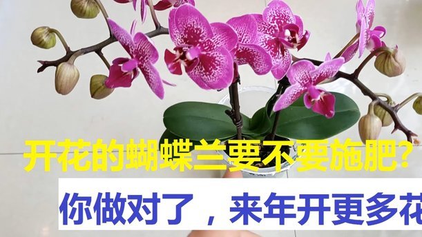 携程拿去花积分能提现吗？