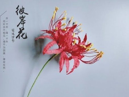 系统化最新套：无缝生态体验