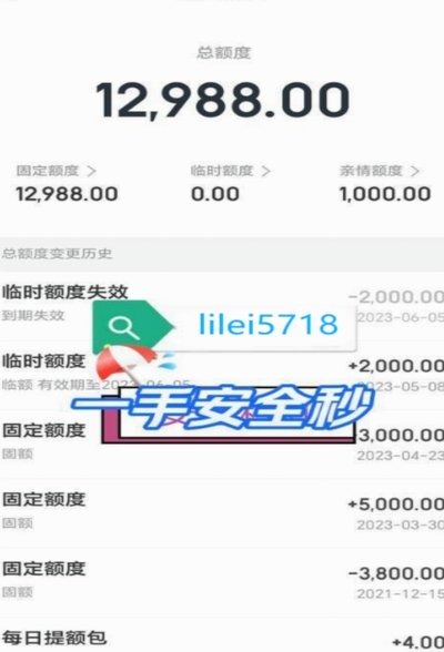 得物分期有1000额度如何使用
