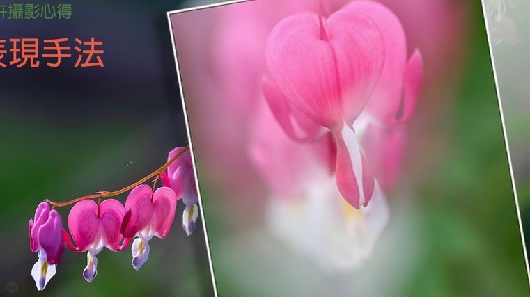 花呗现象 怎么解决
