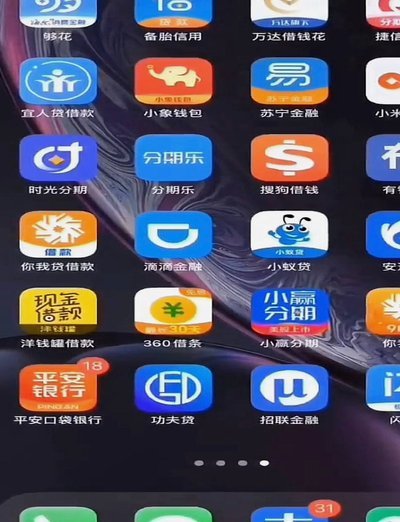 100个网贷平台查询