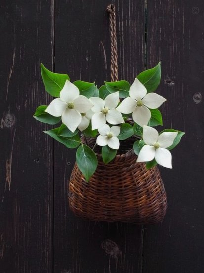 携程“拿去”花在哪看解析