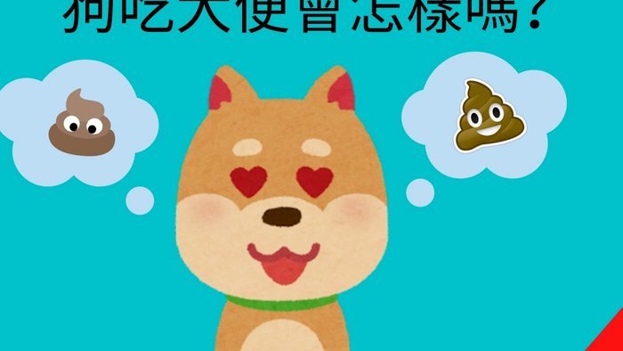 便荔卡额度怎么套出来