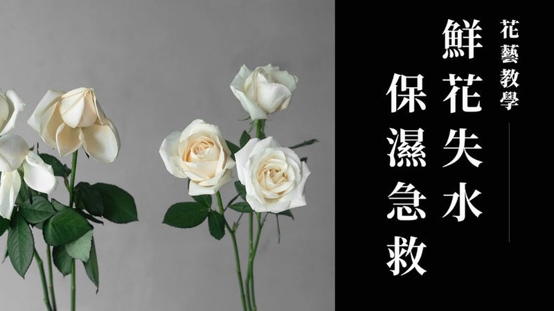 你还在为花呗烦恼吗？如何应对与解决
