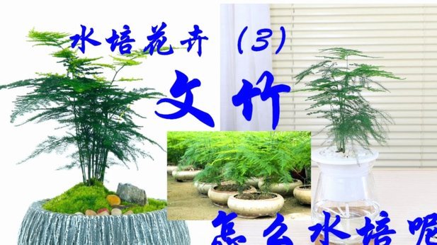 2021花呗怎么套