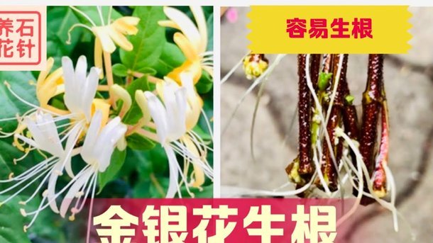 花呗套现风险警示
