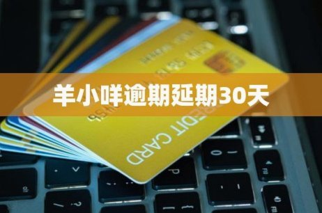 羊小咩放款延迟背后：金融创新与风险平衡的博弈