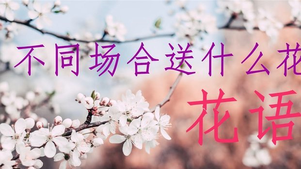 花呗如何安全合法地使用