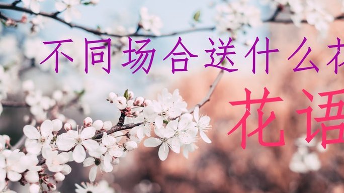 拿去花如何安全提现到微信零钱？全方位指南