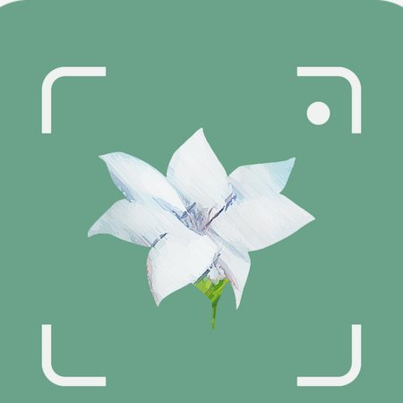 花呗提现app是真的吗可信吗