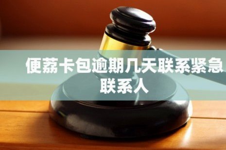 便荔卡包：联系人更新指南