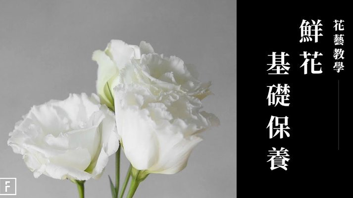 花呗套现：资金周转的隐患与风险
