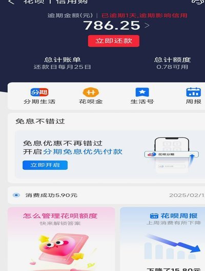 花呗现在情况 出现逾期