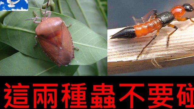 便荔卡套现费26%？需查准银行政策